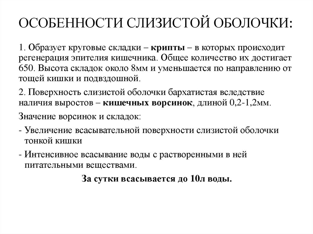 Характеристика слизистой оболочки. Характеристика слизистых. Анатомо-физиологические особенности кишечника. Афо слизистой кишечника схема.