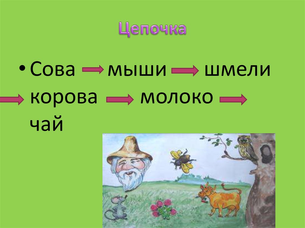 Цепочка