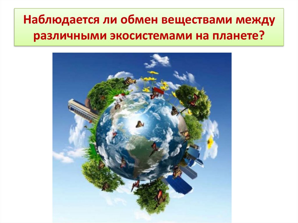 Контрольная работа: Понятие об экологии. Экосистемы. Биосфера. Ноосфера по Вернандскому