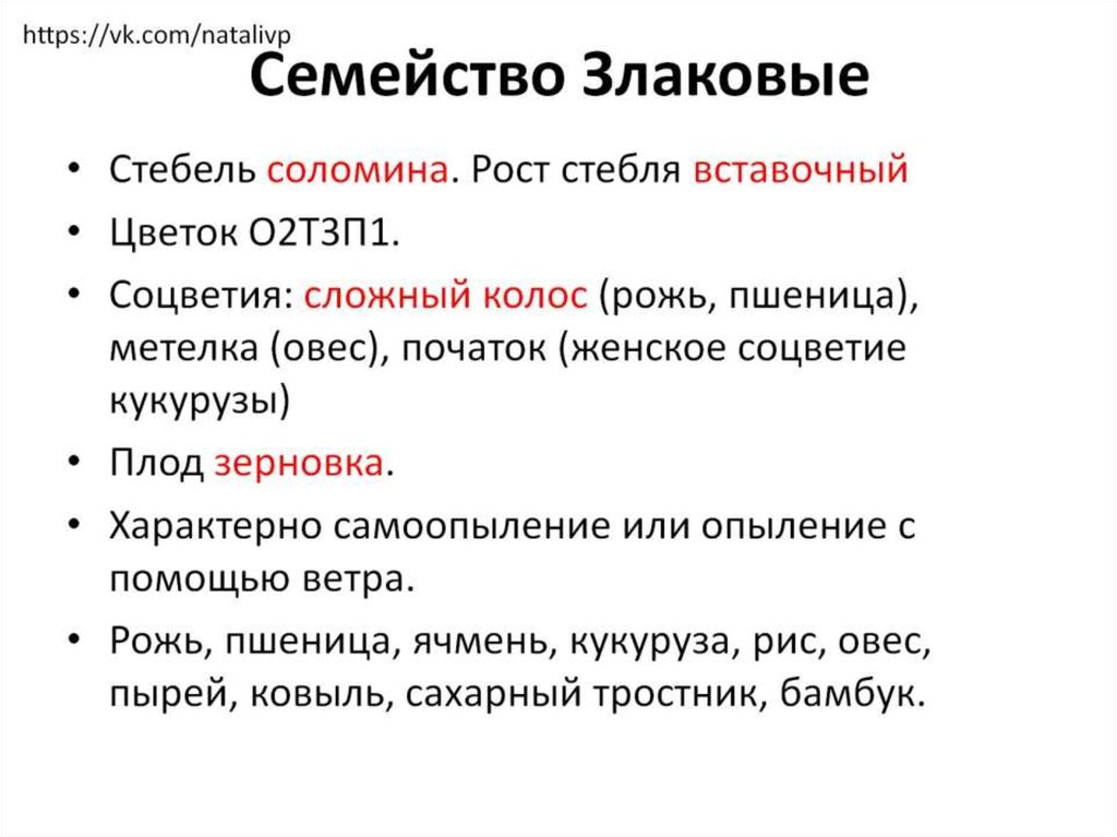 Семейство Злаковые