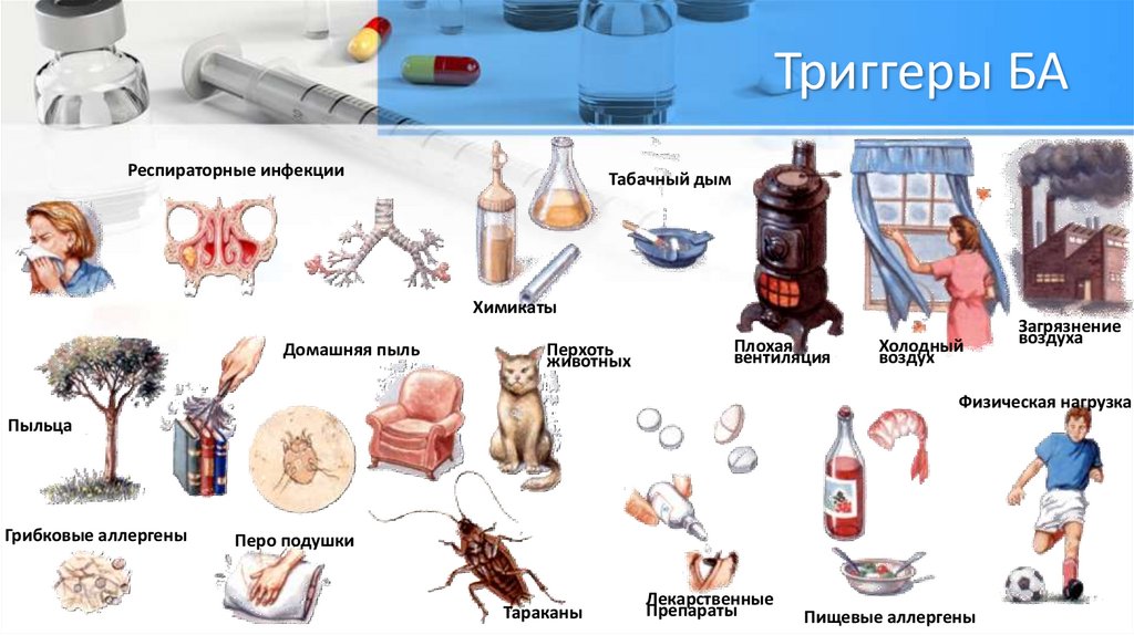 Триггеры астмы. Триггеры бронхиальной астмы у детей. Триггеры бронхиальной астмы. Триггеры обострения бронхиальной астмы. Триггеры при бронхиальной астме.