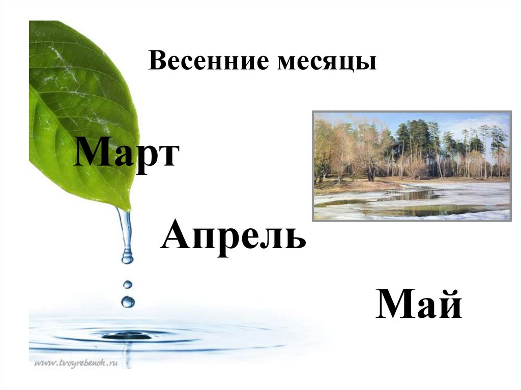 Весенние месяцы картинки