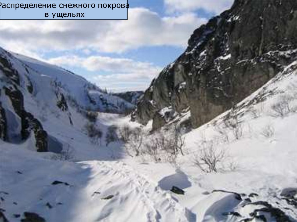 Реферат: Ландшафтная дифференциация в распределении снежного покрова в горах субарктики (хибинские горы)