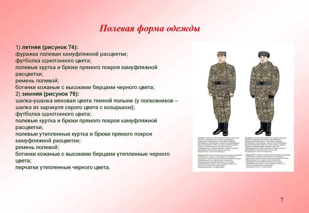 Плакаты Военная форма одежды (22 шт., 29.5х21 см)