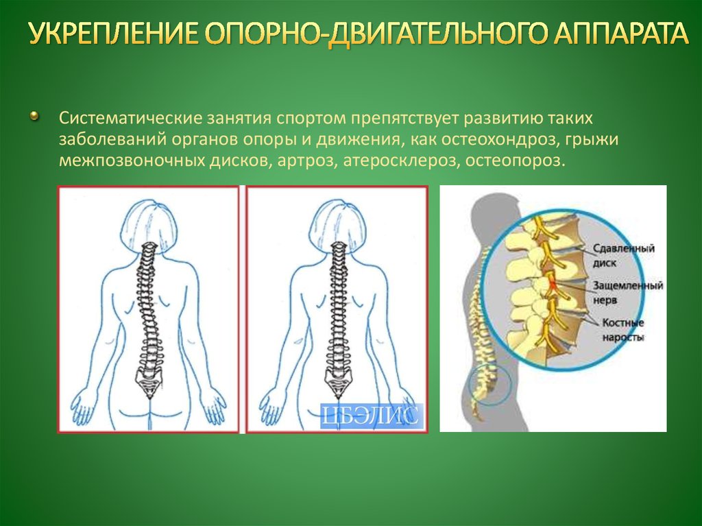 Влияние обуви на опорно двигательный аппарат проект по физике