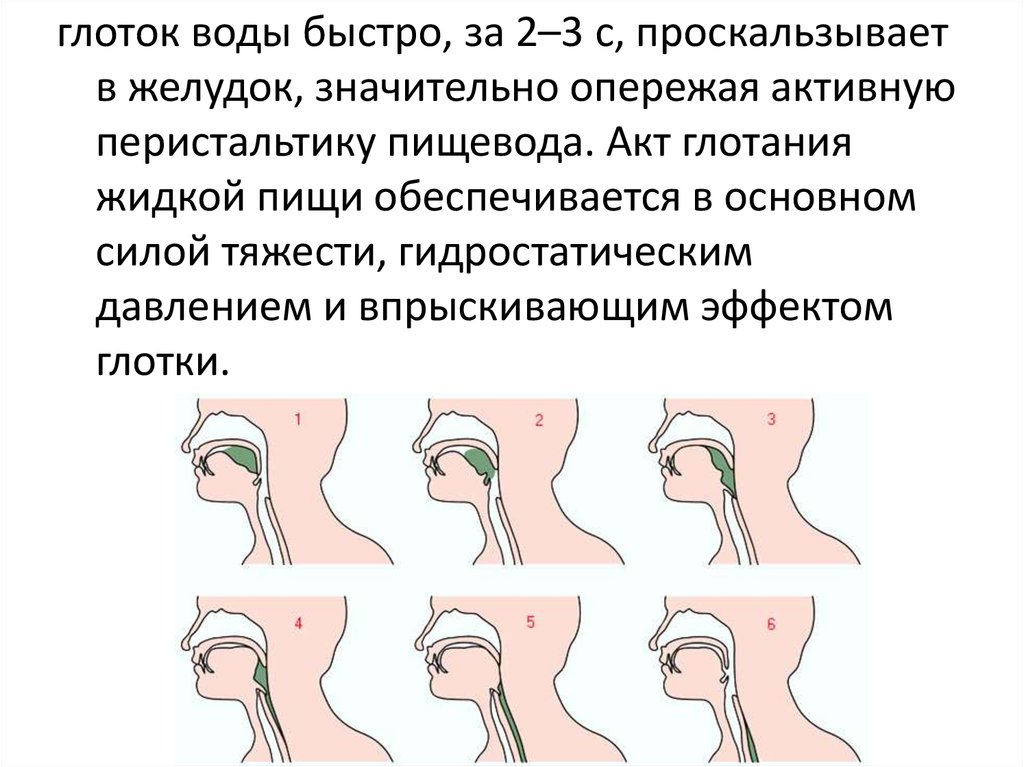 Инфантильный тип глотания