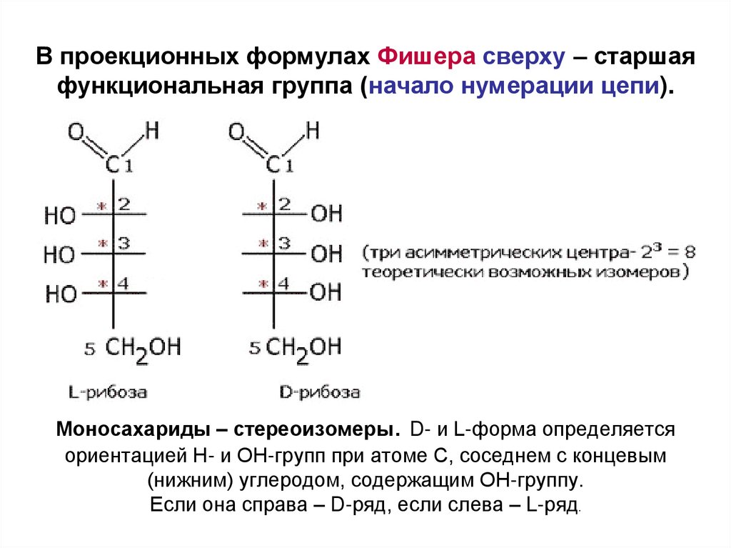 D изомерия. Формула Фишера углеводы. Оптические изомеры рибозы. Оптическая изомерия моносахаридов. Стереоизомеры рибозы.