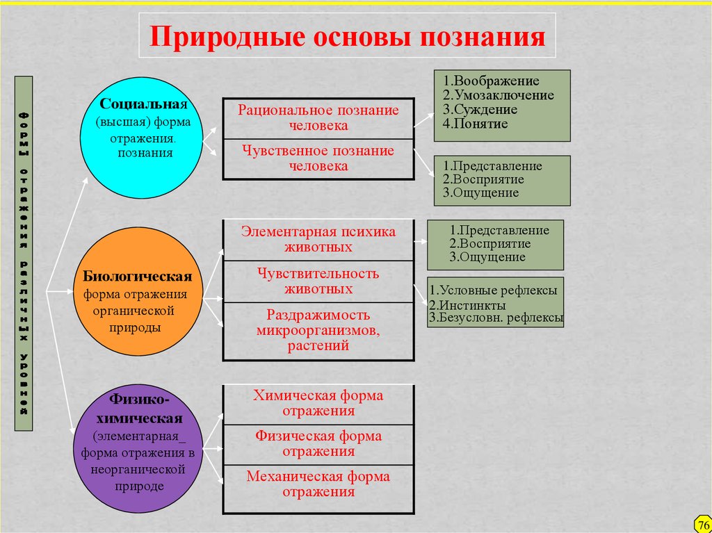 Естественная основа. Природные основы познания. Химическая форма отражения. Элементарные формы отражения. Социальная форма отражения.