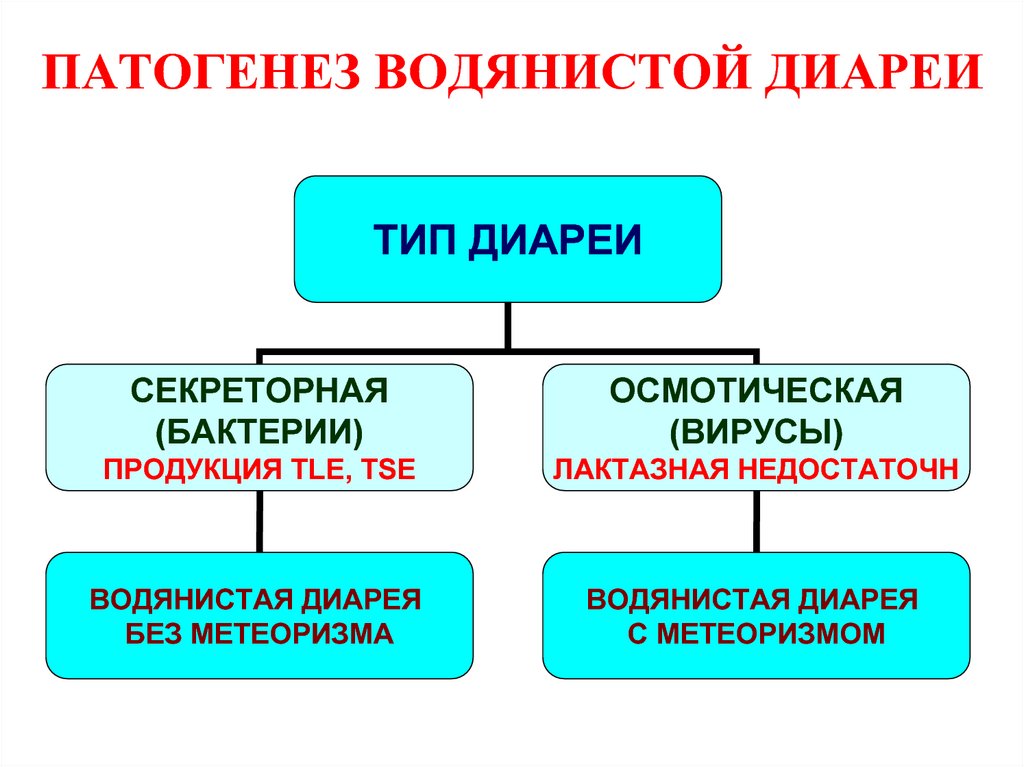 Водянистая диарея