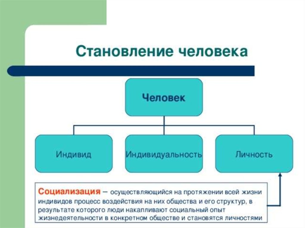 Развитие человека как личности и индивида презентация 6 класс