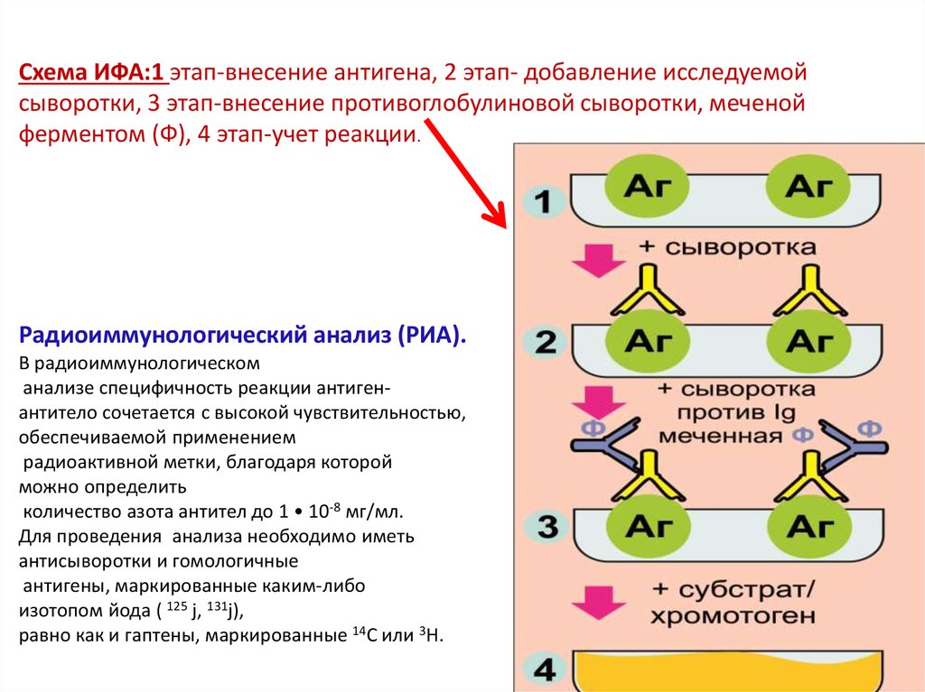 Реакция ифа схема