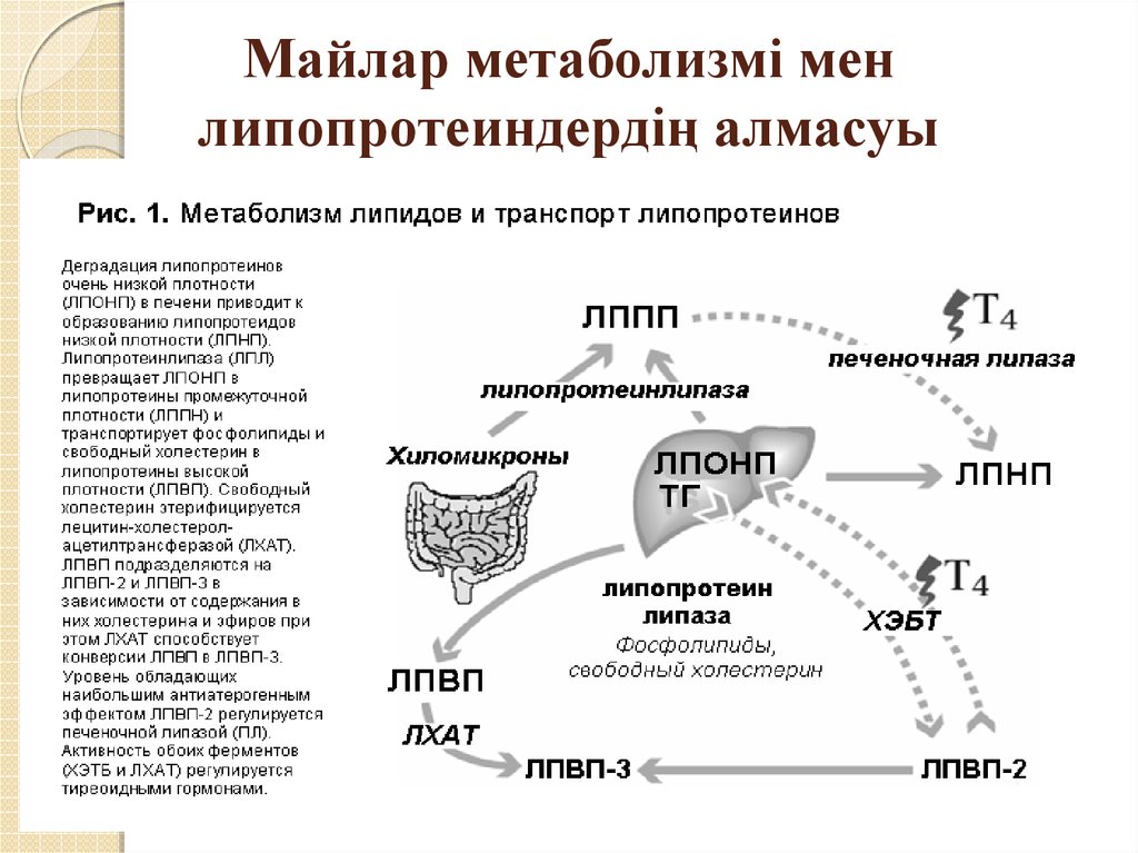 Схема лхат реакции