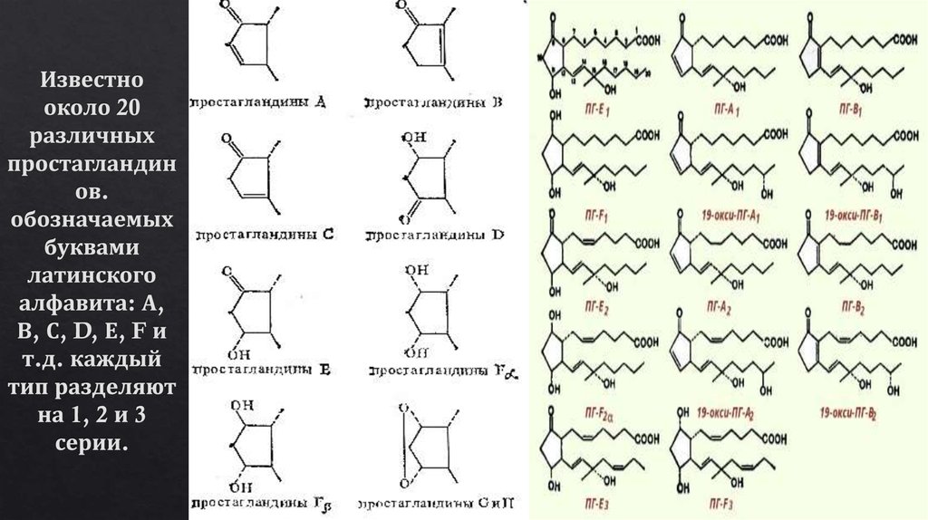 Известно около 20 различных простагландинов. обозначаемых буквами латинского алфавита: А, В, С, D, Е, F и т.д. каждый тип