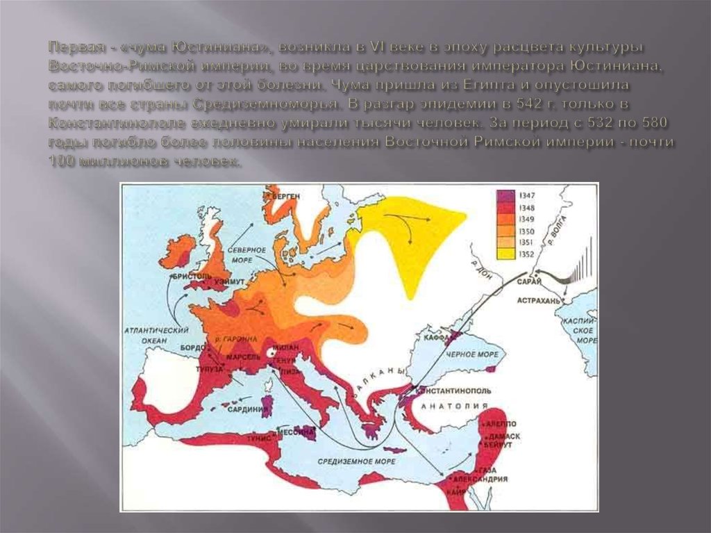 Первая - «чума Юстиниана», возникла в VI веке в эпоху расцвета культуры Восточно-Римской империи, во время царствования