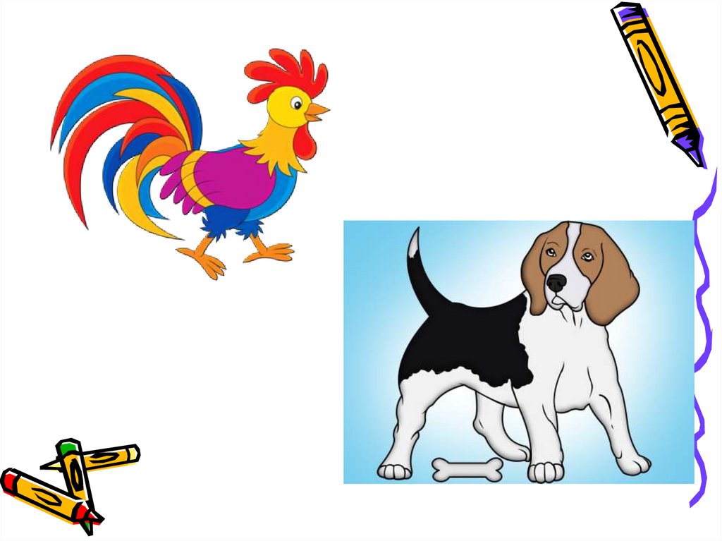 Картинка петух и собака. Петух и собака сказка. Петух и собака рисунок. Петух и собака 1 класс. Конспект занятия петух и собака.