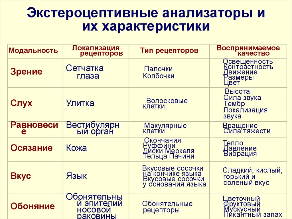 Таблица строение анализаторов 8 класс
