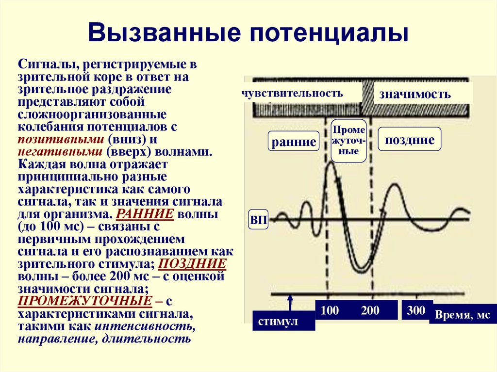 Исследование потенциала