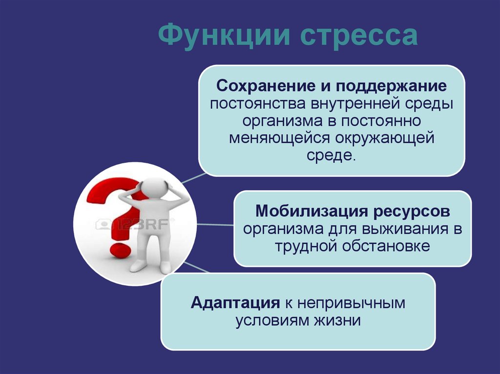 Функции тревоги. Функции стресса. Функции стресса в психологии. Функции стрессоустойчивости. Стресс и его значение.