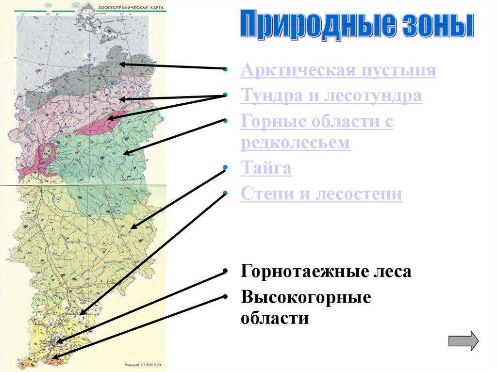 Географическое положение красноярска. Соответствие природных зон климатическим поясам. Природные зоны координаты. Географическое положение зон высокогорной области. 13 Природных зон.