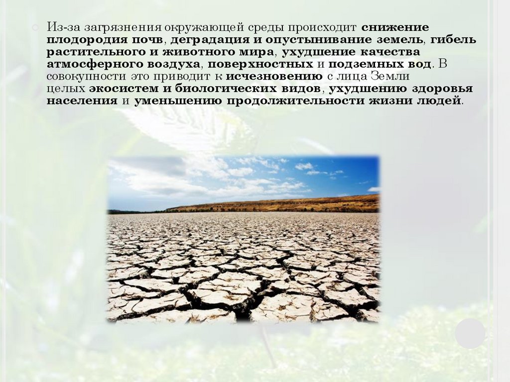 Изменения состояния почвы. Загрязнение почвы опустынивание. Влияние опустынивания земель на окружающую среду. Снижение плодородия почв. Влияние загрязнения окружающей среды.