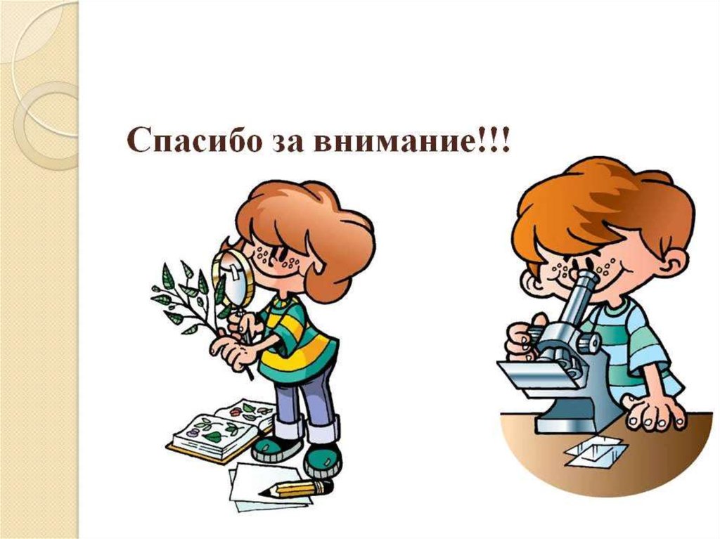 Внимание наука. Спасибо за внимание биология. Спасибо за внимание для презентации биология. Спасибо за внимание наука. Спасибо за внимание для презентации ученые.