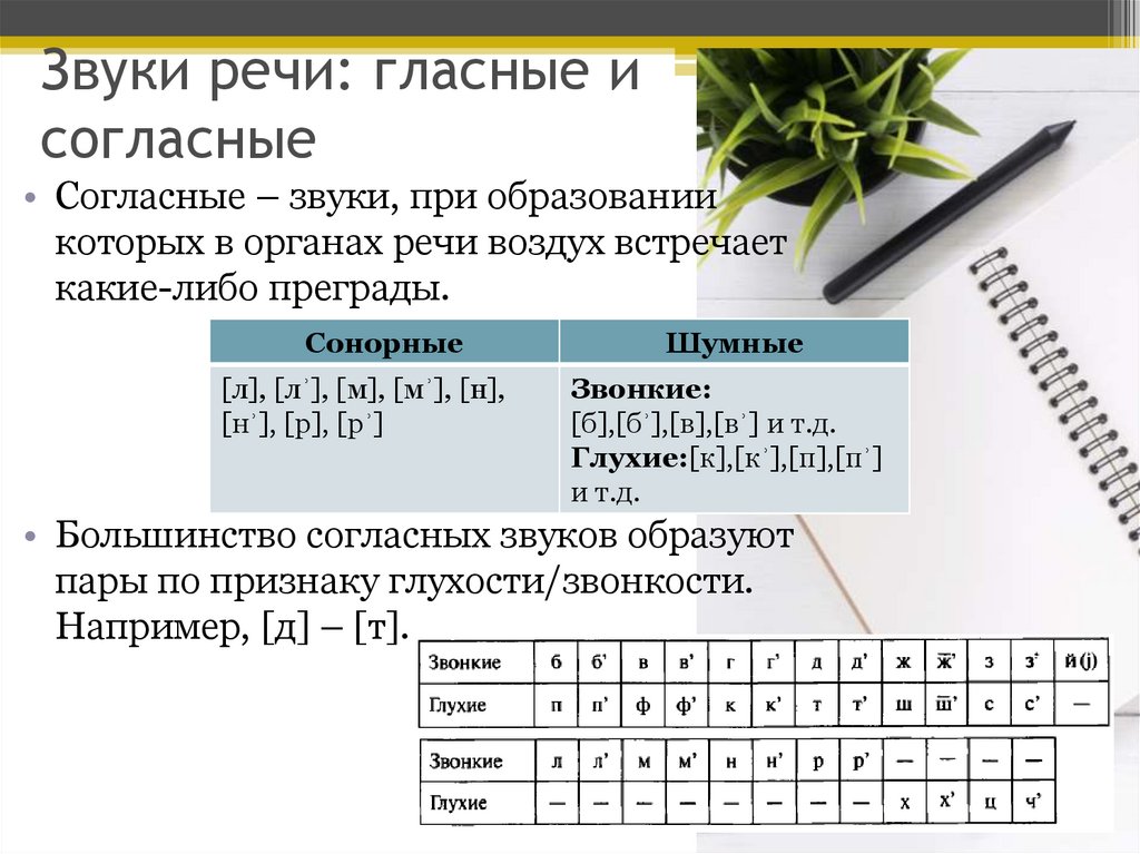 Звуки речи конспект урока 1 класс