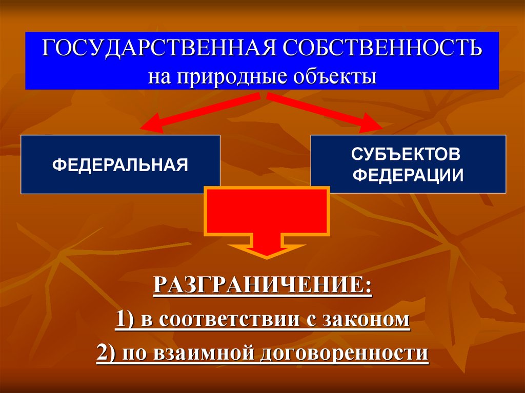 Природные объекты собственности. Природные объекты государственной собственности. Природные объекты государственной собственности в России.. Право государственной собственности на природные объекты. 4. Природные объекты государственной собственности в России..