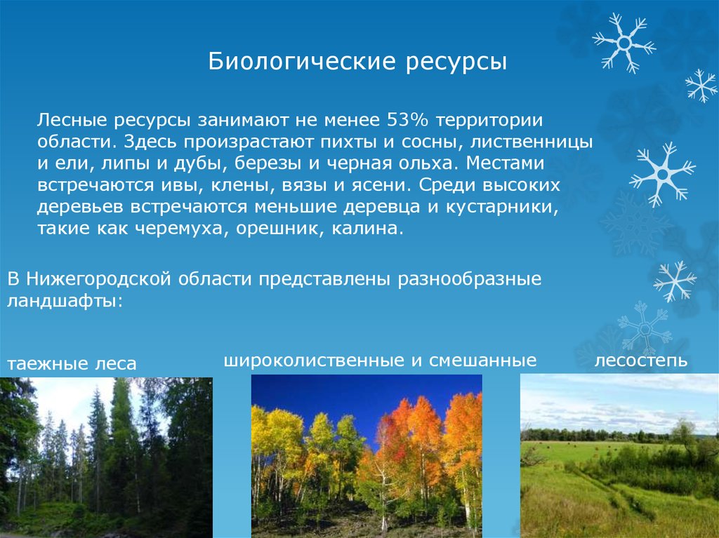 Нижегородский ресурс