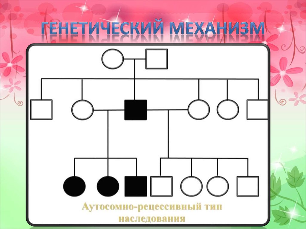 Генетический механизм