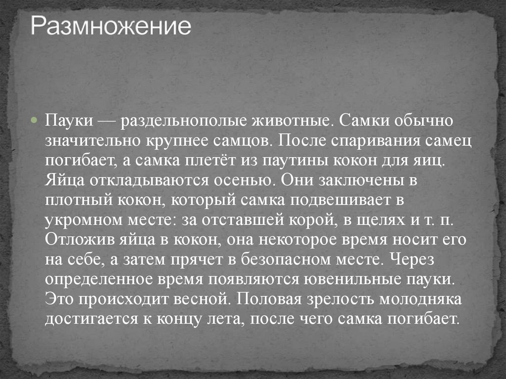 Размножение