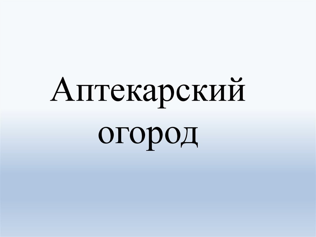 Презентация аптекарский огород