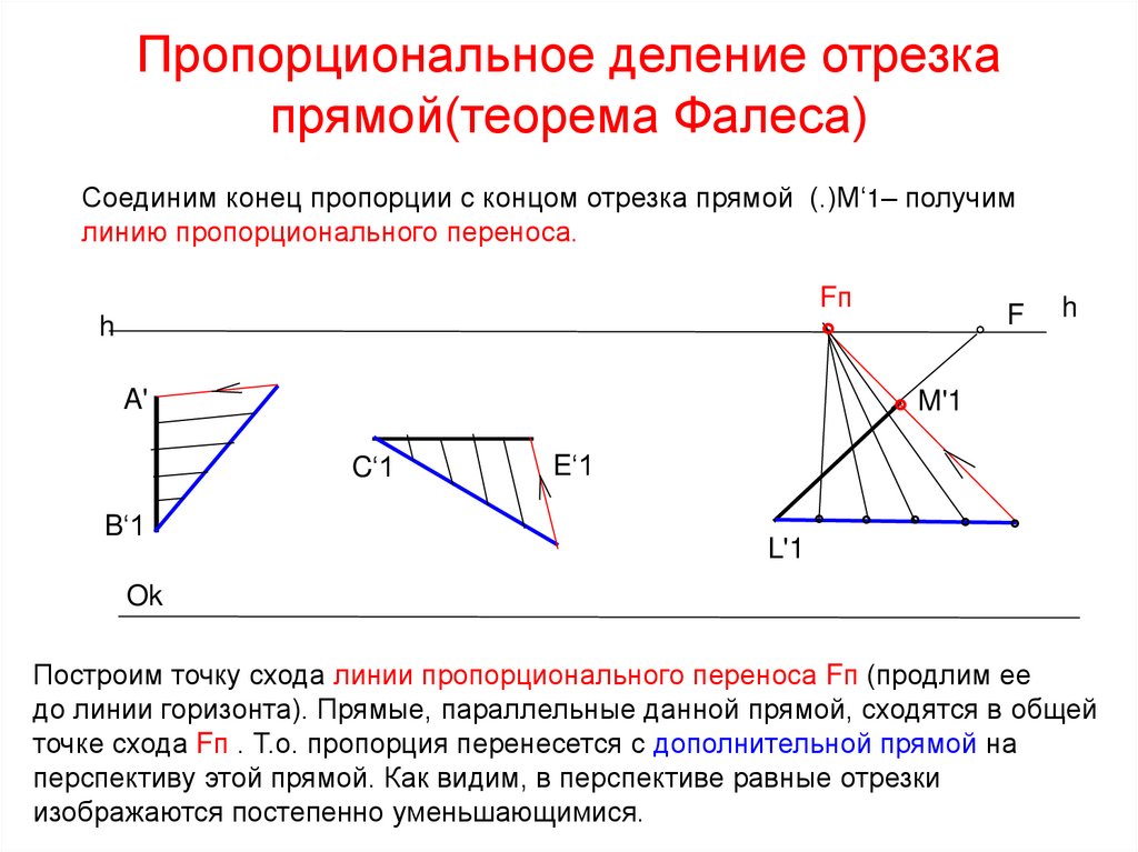 Пропорциональное деление отрезка прямой(теорема Фалеса)