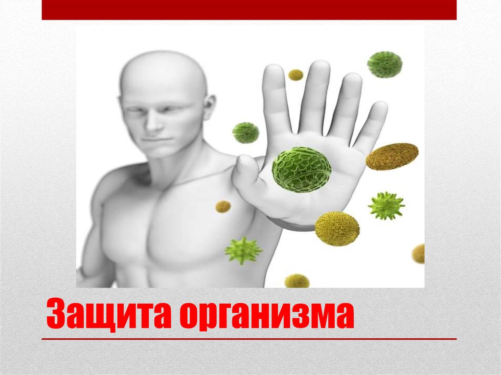 Защитный организм