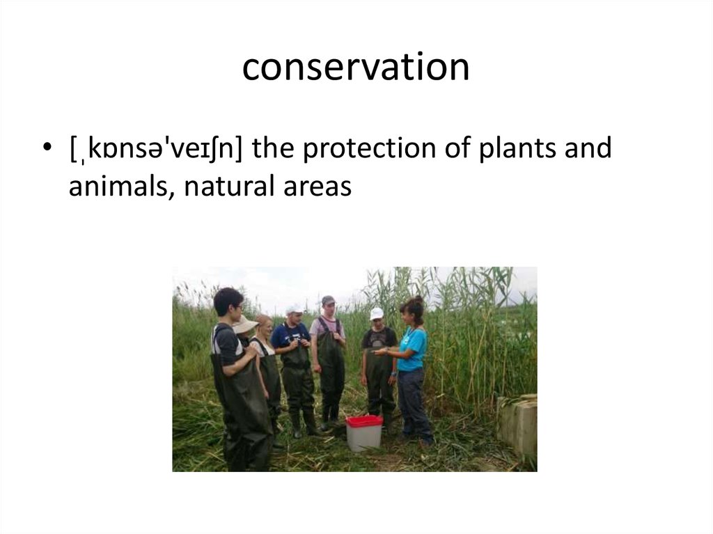 conservation