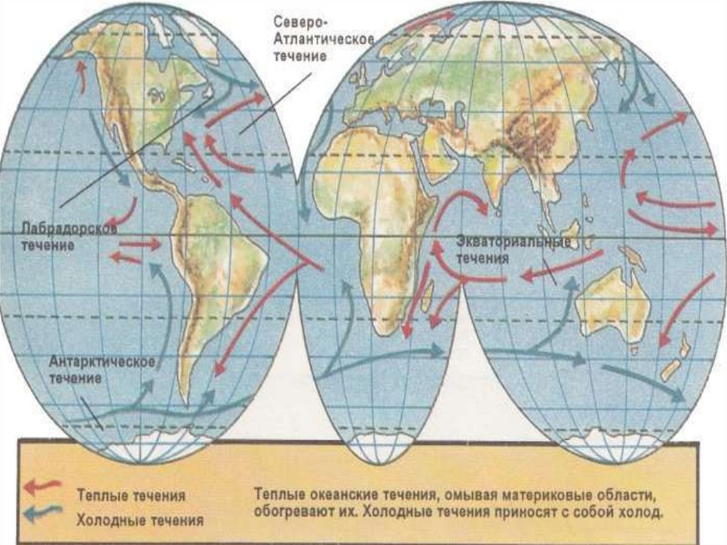 Карта теплых и холодных течений