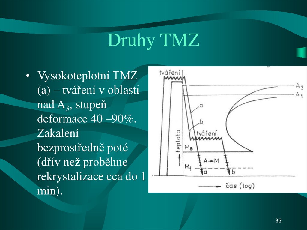 Druhy TMZ