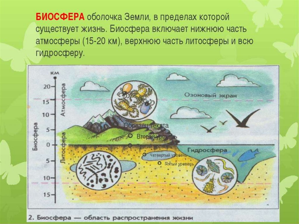 Биосфера живая оболочка земли 5 класс презентация