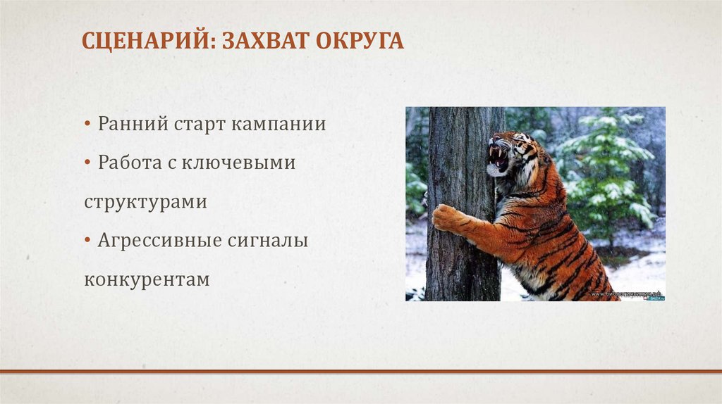 Сценарий: ЗАХВАТ ОКРУГА