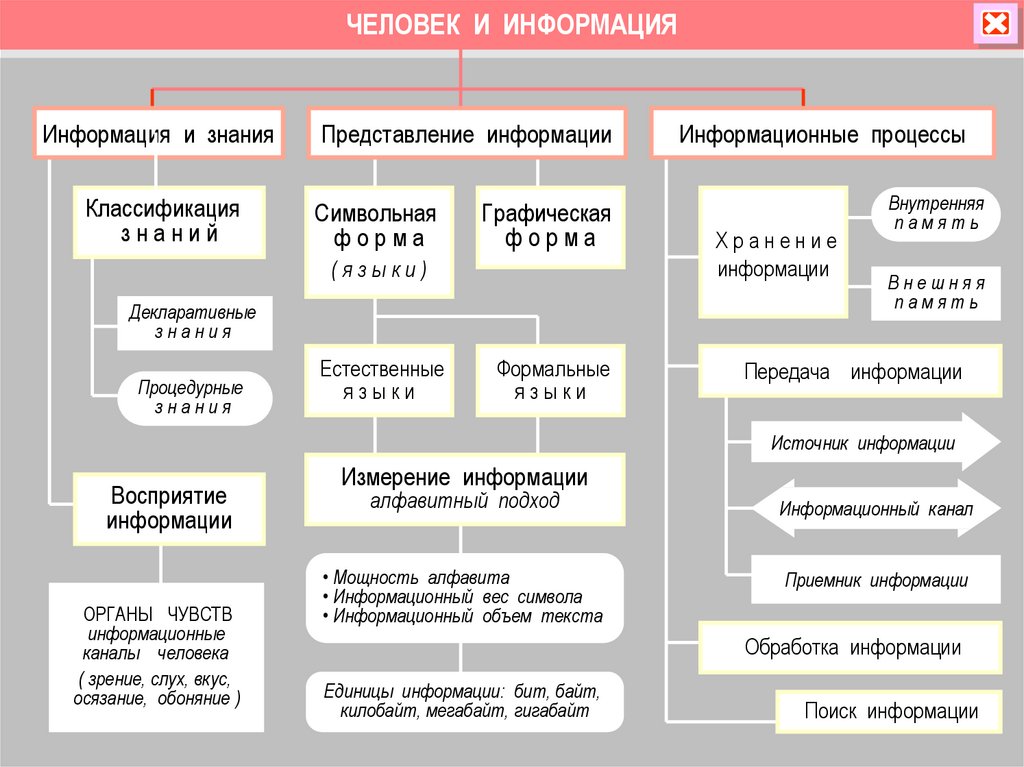 Классификация конспектов. Информация и информационные процессы. Информационные процессы 5 класс. Информация и информационные процессы конспект по информатике. Человек информация и информационные процессы.