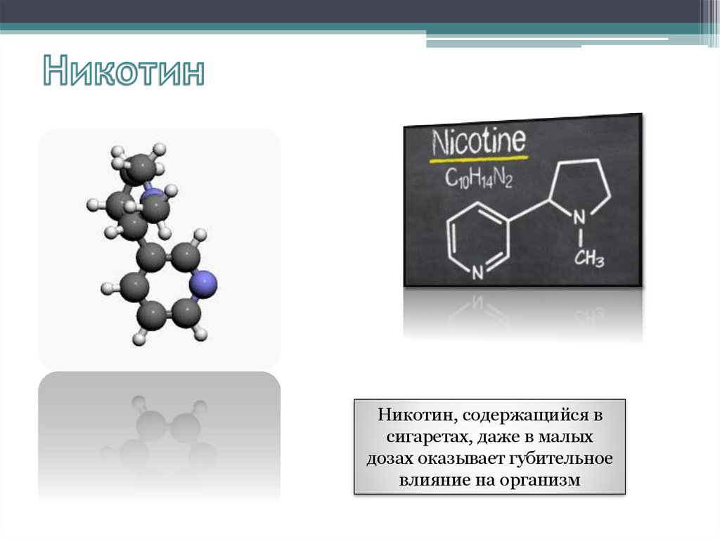 Дм никотин последнее