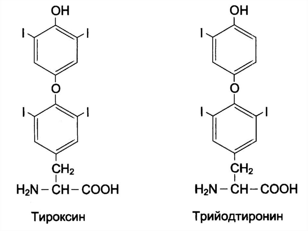 Гормоны щитовидной железы презентация по биохимии