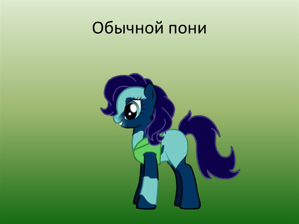 Обычной пони