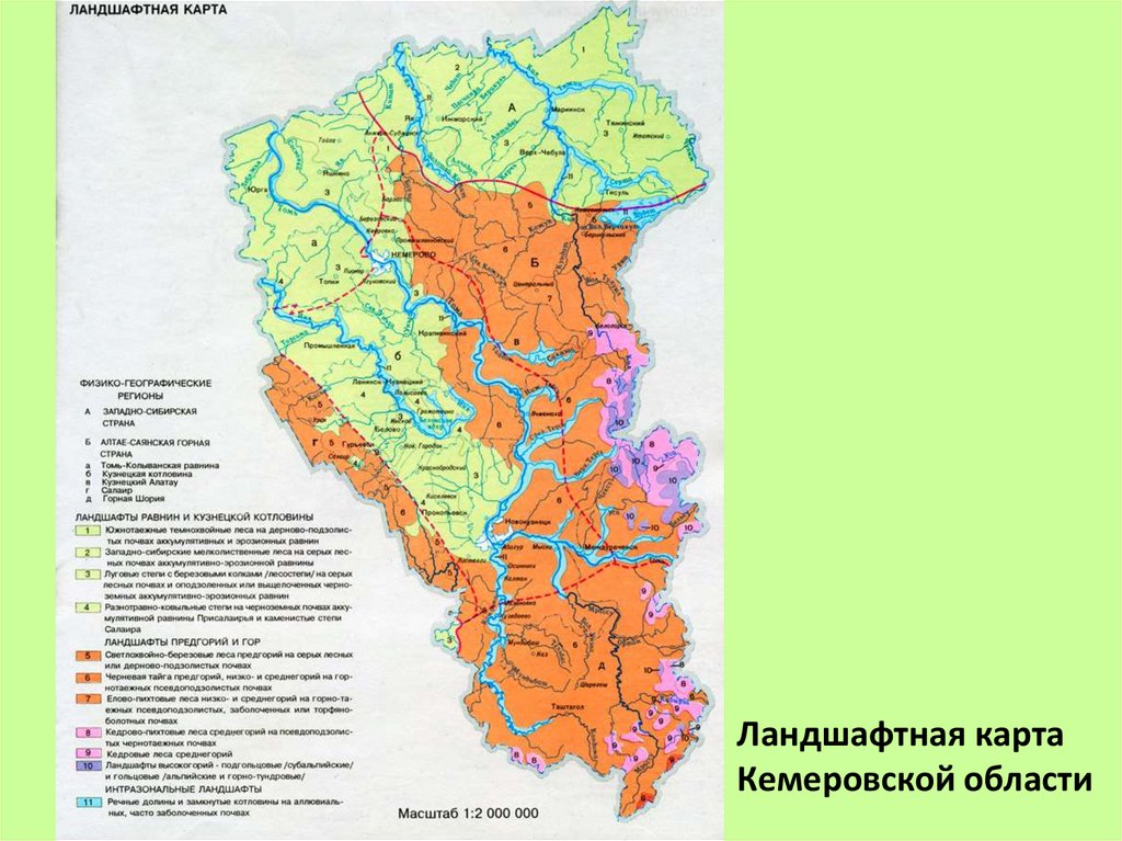 Кемеровская область 4. Карта растительности Кемеровской области. Карта лесов Кемеровской области. Карта рельефа Кемеровской области. Ландшафтная карта Кемеровской области.