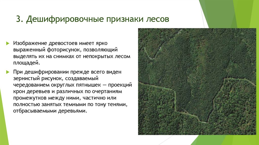 Выберите верные ответы для хвойных лесов характерны. Признаки дешифрирования. Дешифрировочные признаки лесов. Дешифрирование снимков леса. Дешифрирование водных объектов.