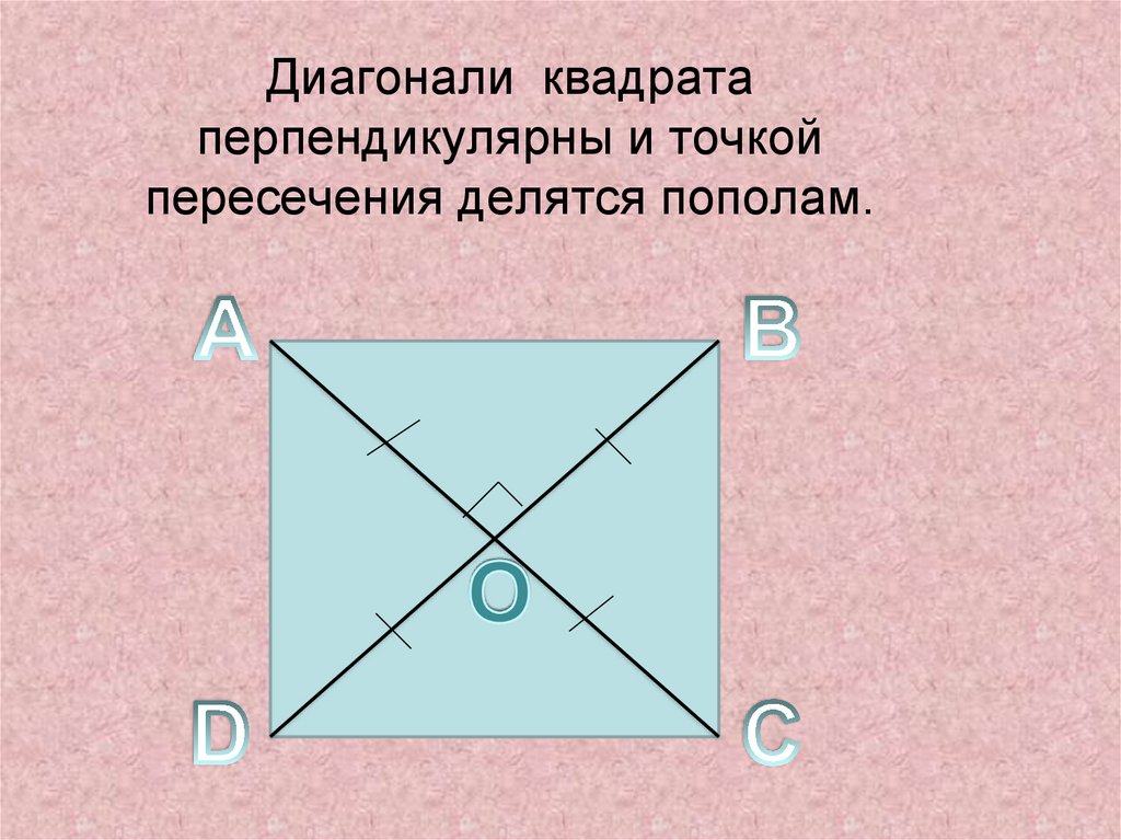 Произведение диагоналей пополам. Диагонали квадрата перпендикулярны. Диагонали квадрата точкой пересечения делятся пополам. Диагонали квадрата перепендиеку. У квадрата точкой пересечения делятся.