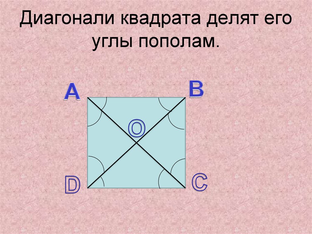 Произведение диагоналей пополам. Диагональ квадрата. Диагонали квадрата делят его пополам.