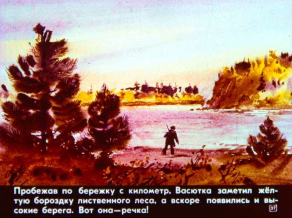 Бережком бережком рыжеусое солнце. Васюткино озеро Васютка. Иллюстрация к рассказу Васюткино озеро. Рисунок к произведению Васюткино озеро. Васютка нашел озеро.