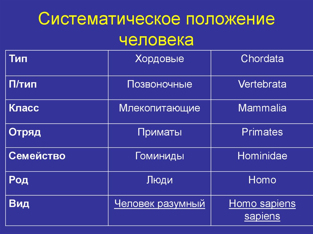 Признаки таксономических групп. Систематическое положение человека таблица 9 класс биология. Таблица про систематическое положение человека биология. Систематическое положение человека разумного. Систематическое положение человека таблица 8 класс биология.