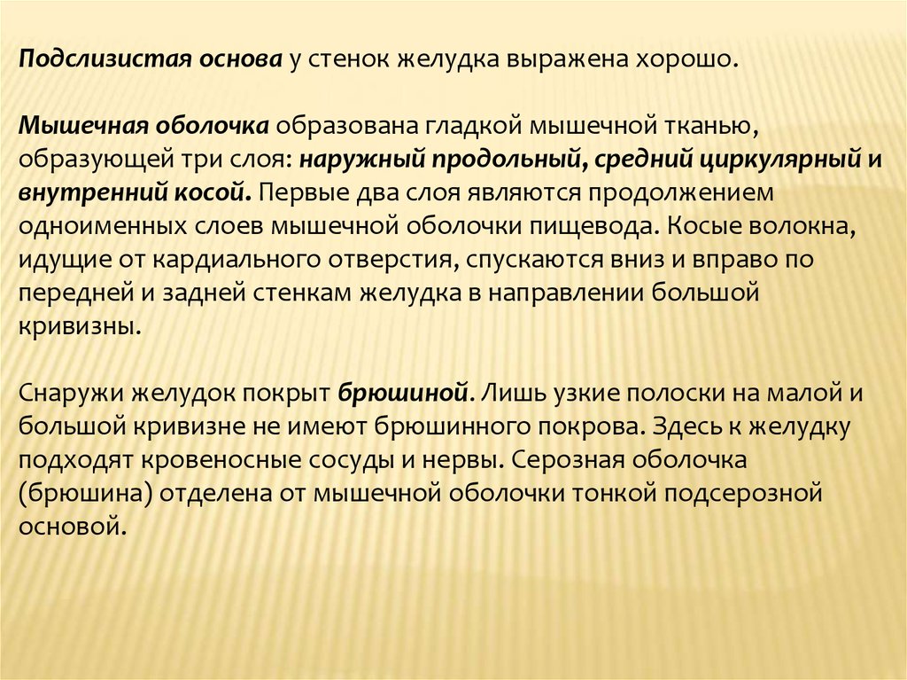 Легко выраженный. Подслизистая основа. Роль подслизистой основы. Какое значение имеет подслизистая основа.