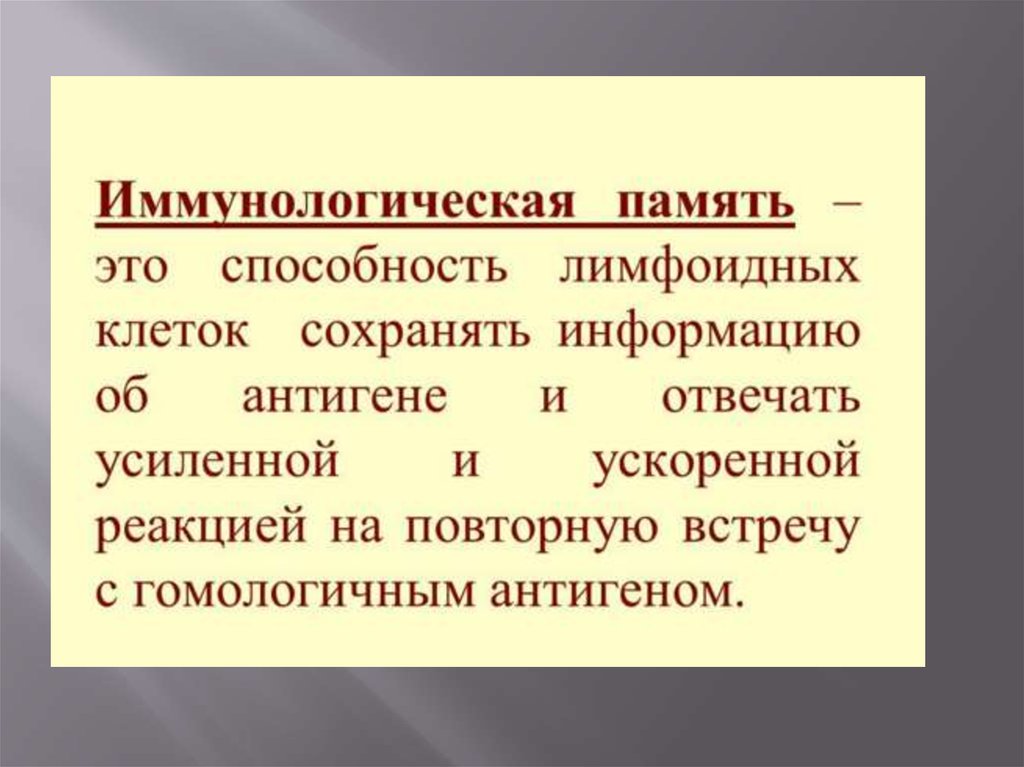 Презентация иммунологическая память